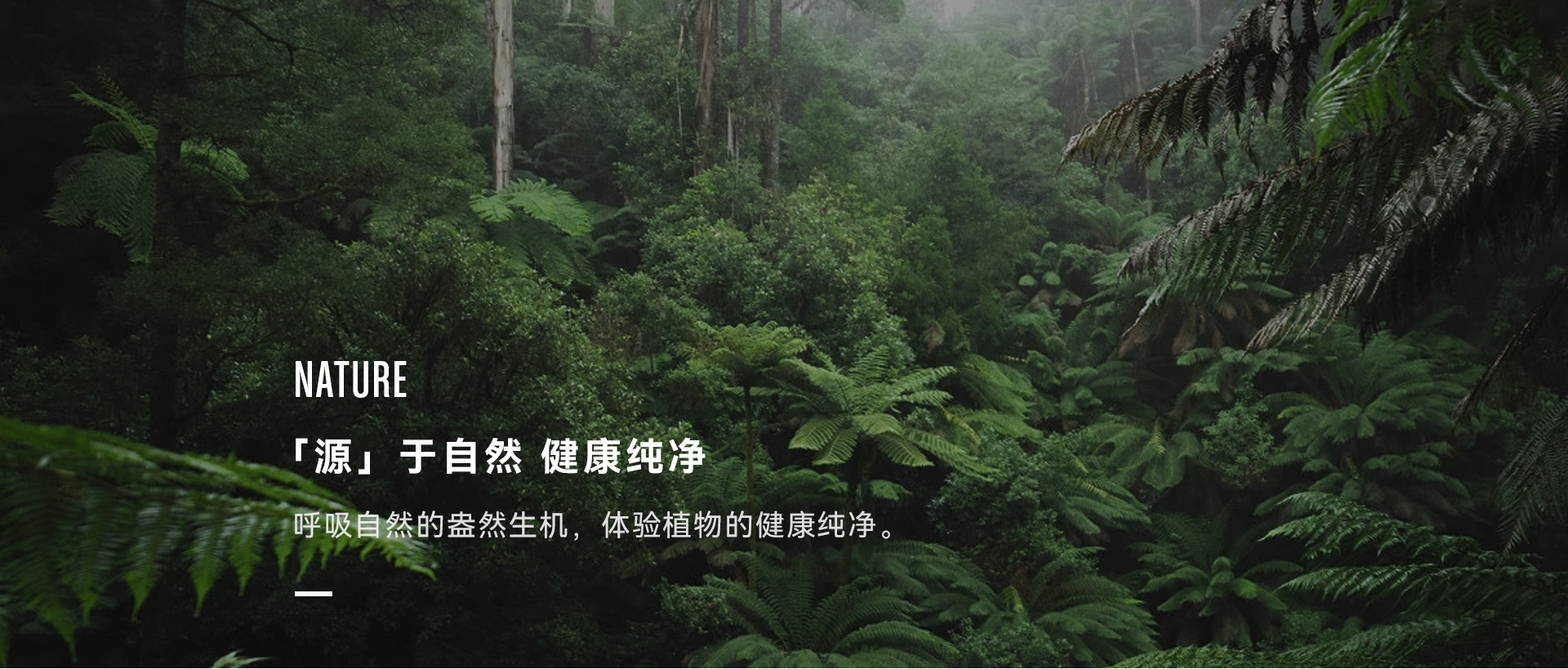 Stockwell品牌介绍